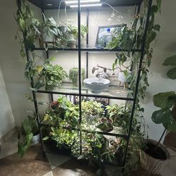 Shelf Unit With Grow Lights