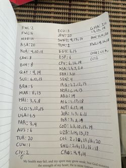 Panini World Cup stickers trade