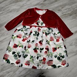 Girls Toddler Dress 3t