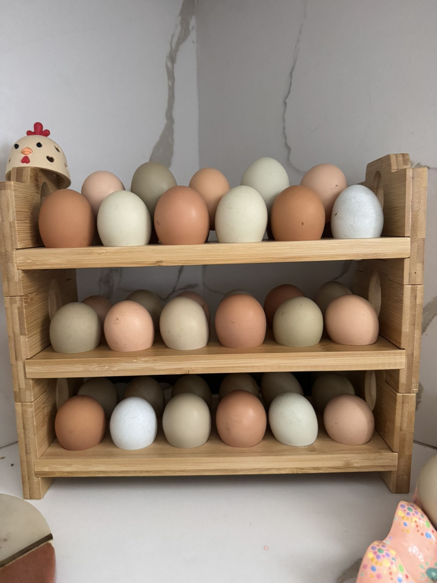 Fresh Eggs