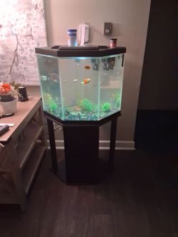 50 gallon  Fish Tank  everything must go
