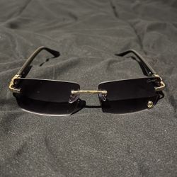 Men's Sunglasses Includes Bag and Box