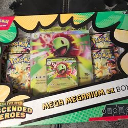 Mega meganuim ex box