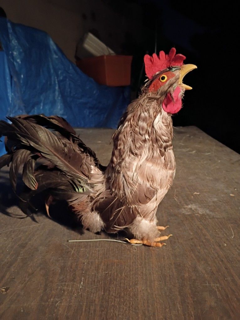 Realistic Chicken Statue