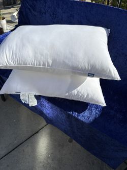 Good condition queen size pillows  each $5
