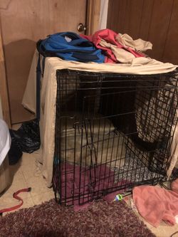 Dog cage