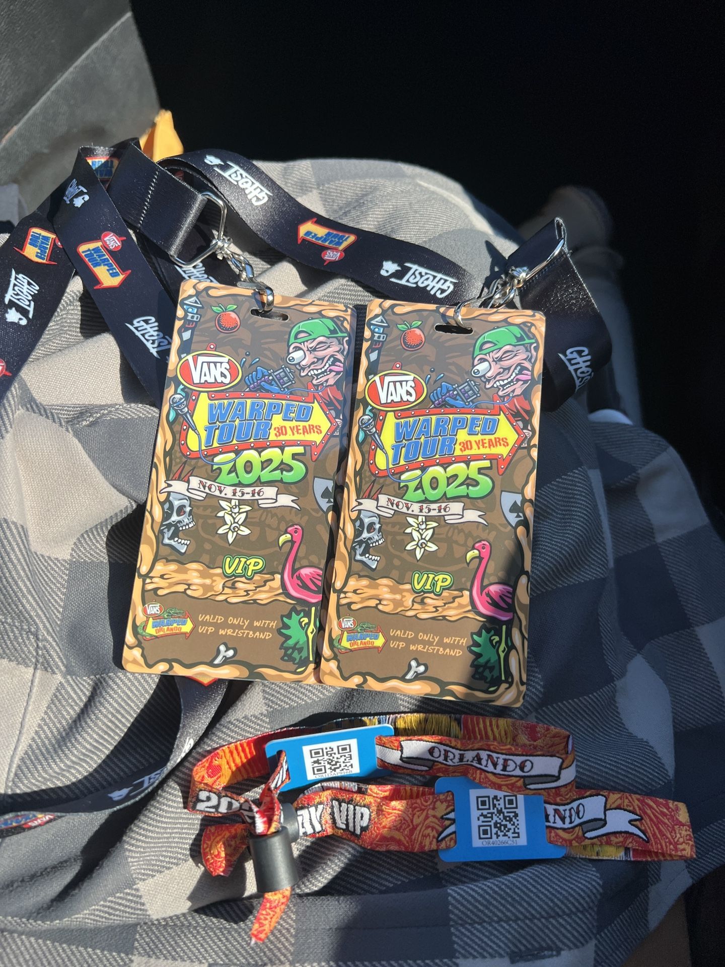 2 VIP Warped Tour Orlando (Tampa pickup)