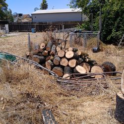 Firewood 
