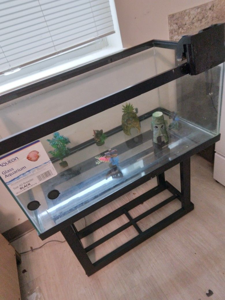 Aquarium  Tank 