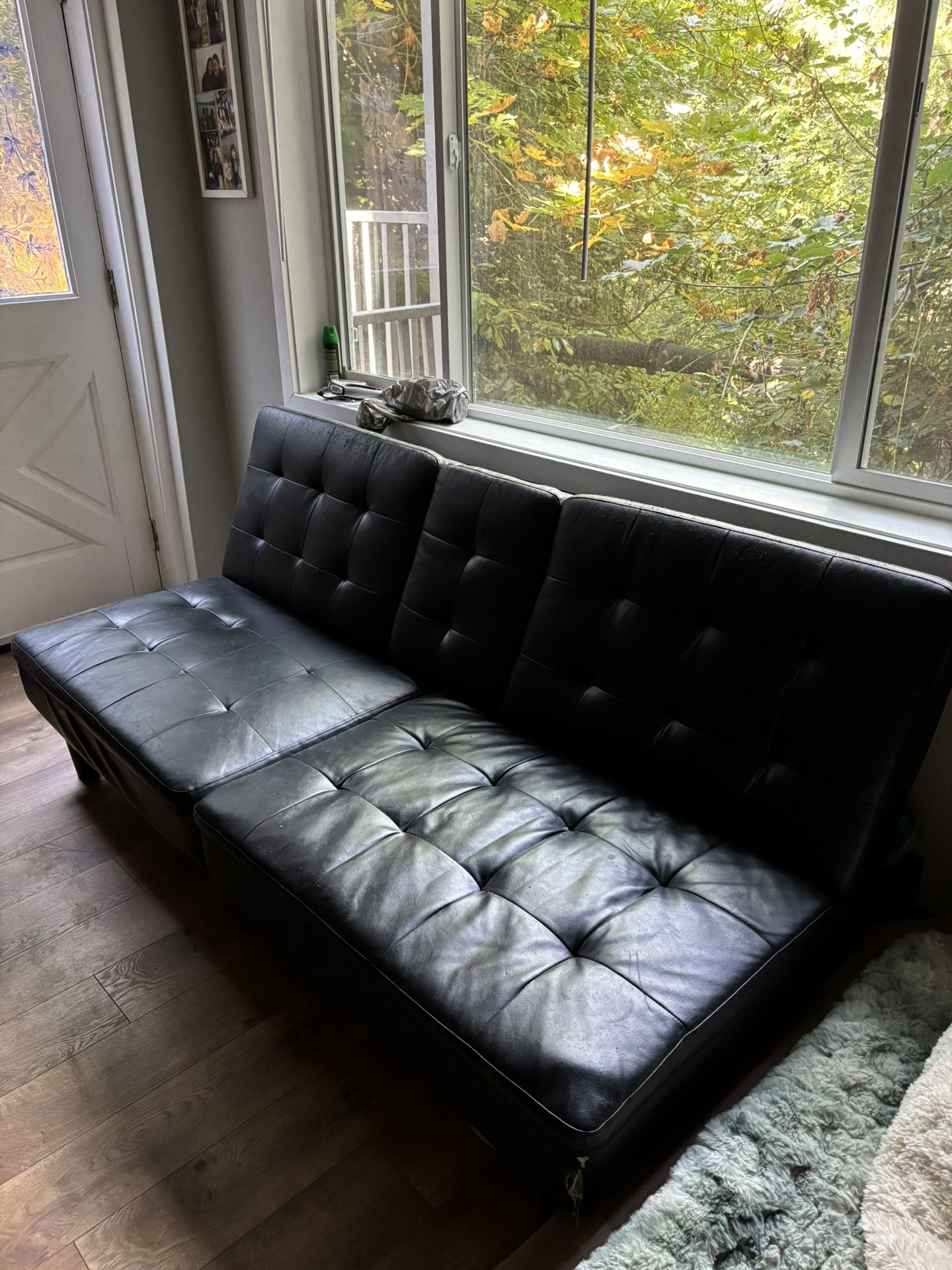 Free Leather Couch