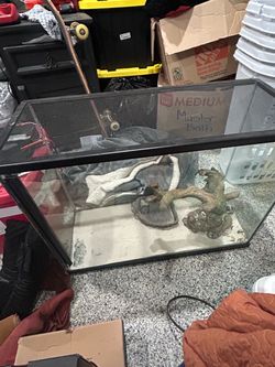 Glass Reptile Tank with Mesh Lid