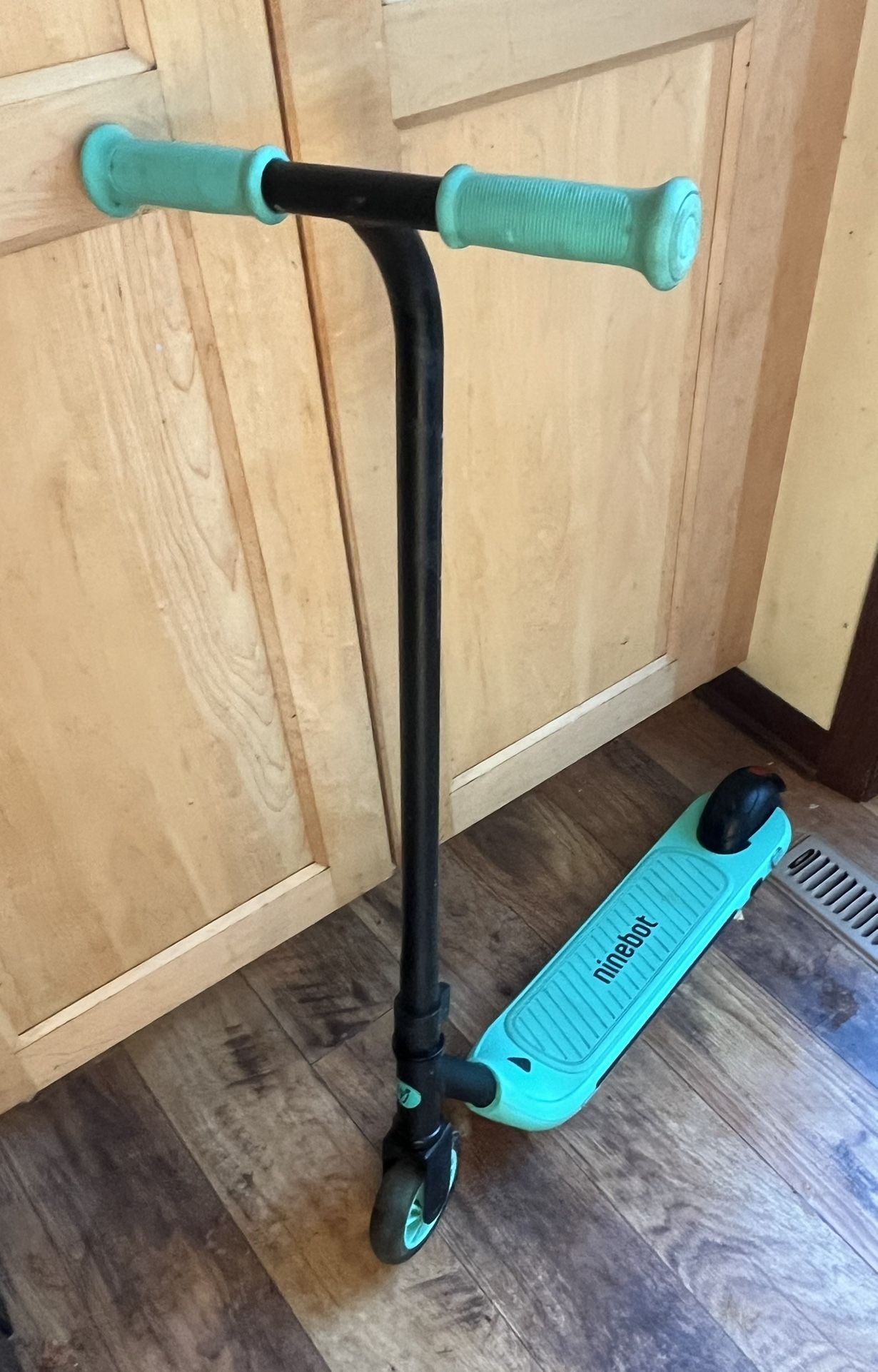 Segway Ninebot Scooter for Kids, Boys and Girls, Lightweight