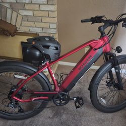 Schwinn e bike / helmet / charger foot pump