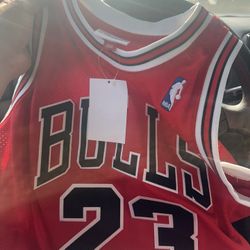 Mitchell & Ness Michael Jordan Jersey Sz L