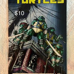 Teenage Mutant Ninja Turtles Comic # 80 Variant 