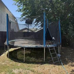 Trampoline 