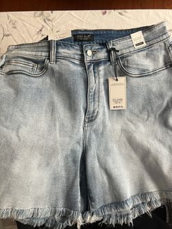 Judy Blue Shorts