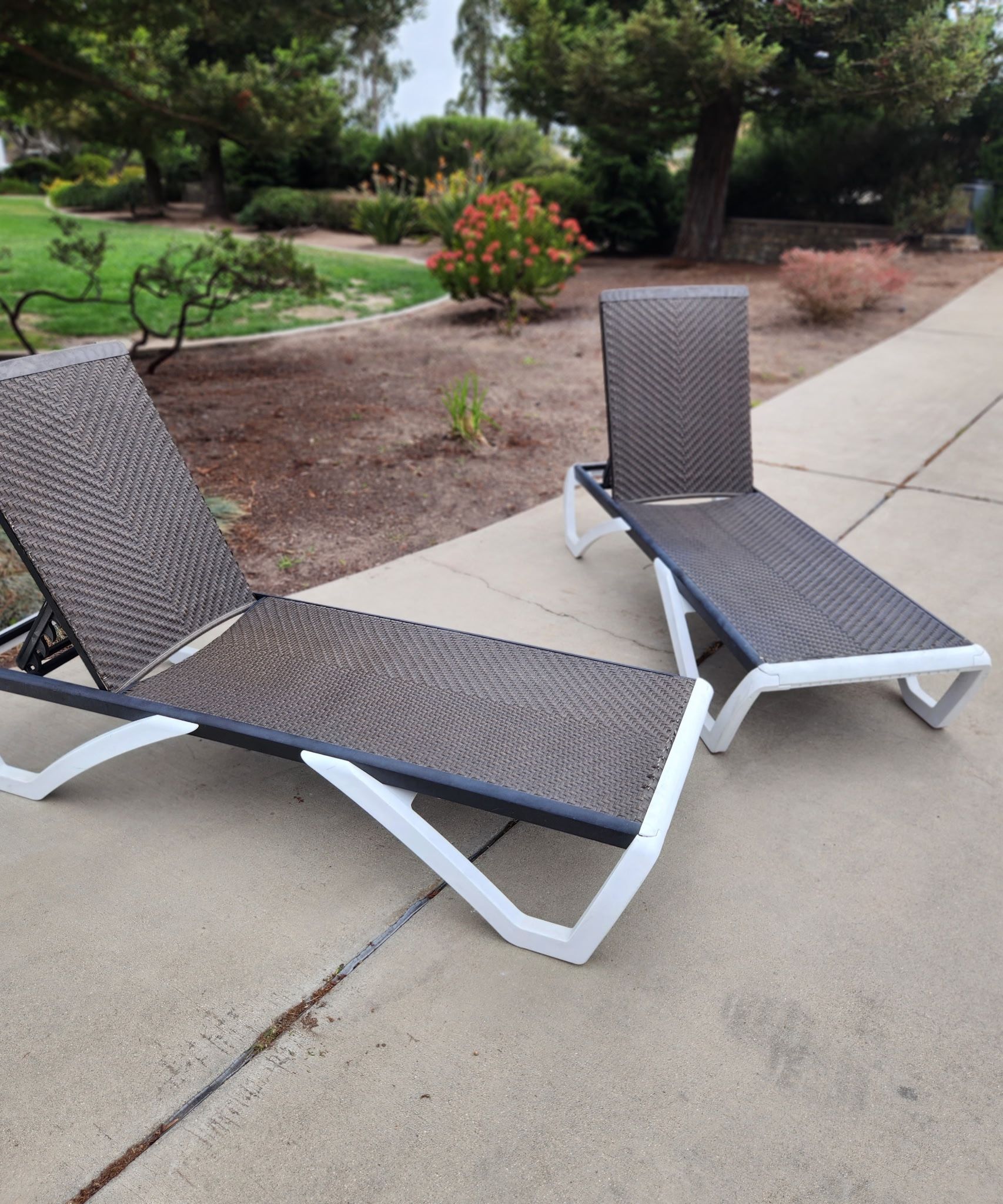 Nice Solid Lounge Chairs
