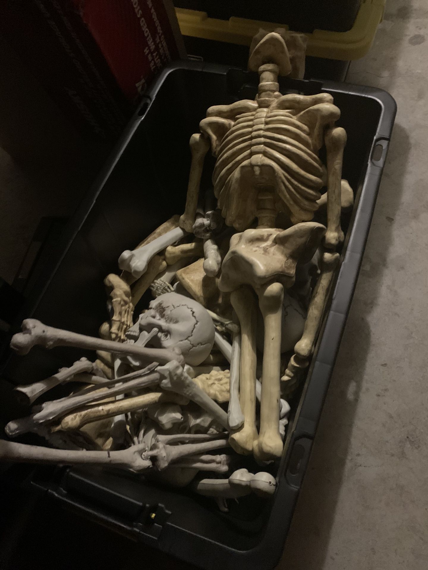 Bin of Bones