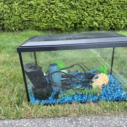 Fish tank 