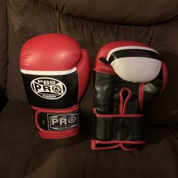 Pro Boxing Gloves