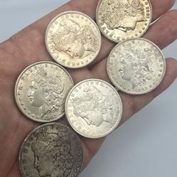 Lot of 6 Morgan silver dollars 