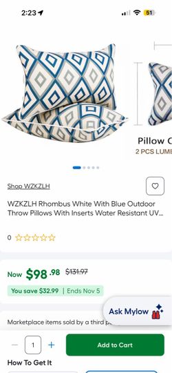Outdoor Throw Pillows with Inserts, Set of 2