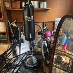 Everlast Punching Bag