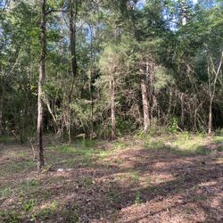 Terreno En Magnolia Tx