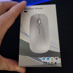 New Portable And WORK Mouse