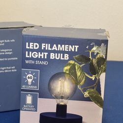 Lamp pack of 3 for $24