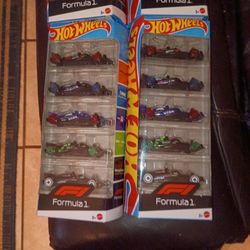 2024 Hot wheels F1 SERIES 