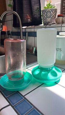 Chick free feeders