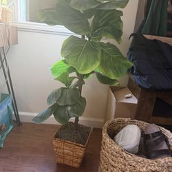 Faux Indoor Plant 
