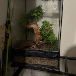 Reptile Tanks