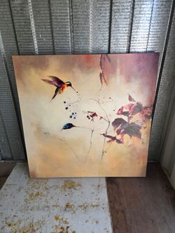Hummingbird picture