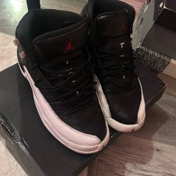 Retro 12 Jordans 