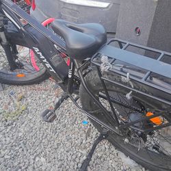 Electric bike