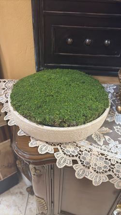 Decorative moss Bowl