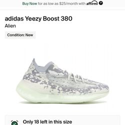 Yeezy 380 Alien Read Bio