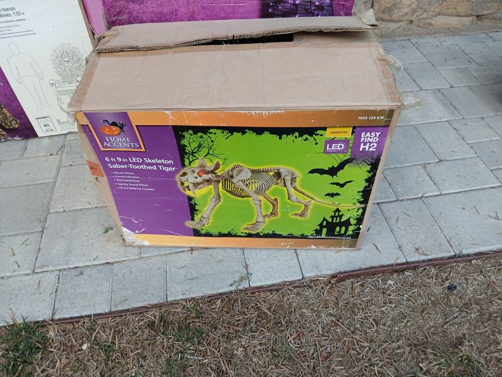 Halloween Decorations