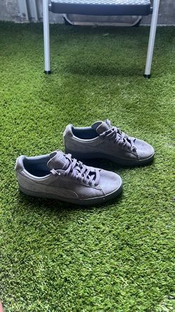 Pumas