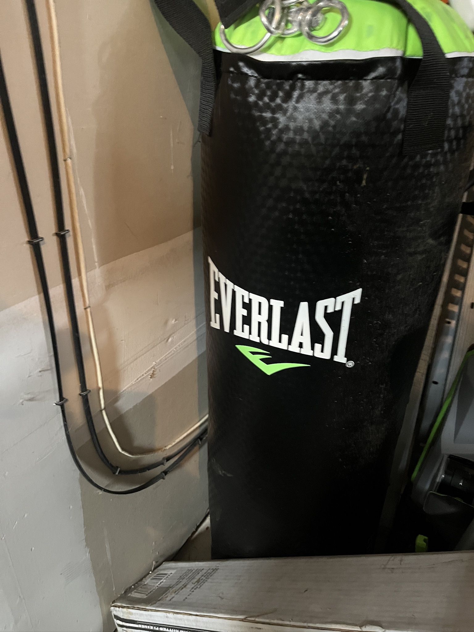 Everlast Punching Bag. 