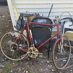 Bike From The 1989