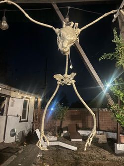 Halloween Deco
