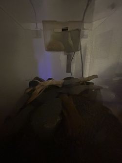 Top Fin 3 gallon tank