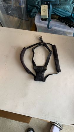Dog Harness