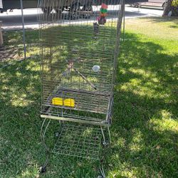 Bird Cage