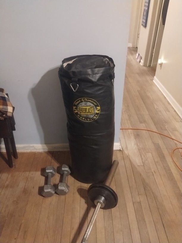 Everlast Punching Bag