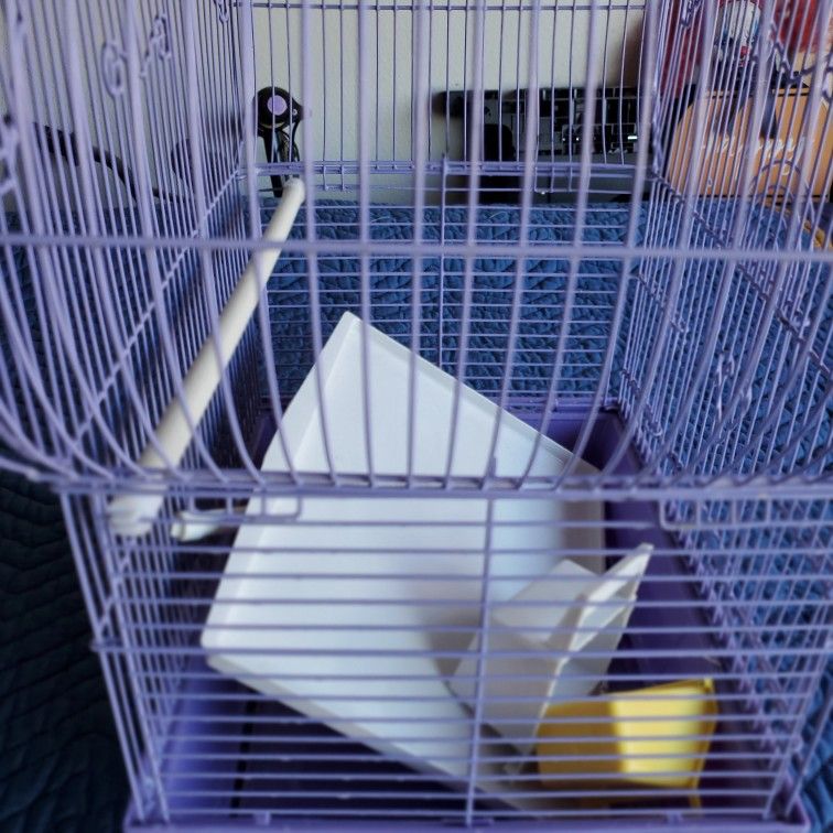 Purple Bird Cage
